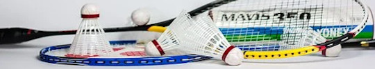 badminton saint aygulf,badminton frejus, club badminton st aygulf, frejus, la sasel