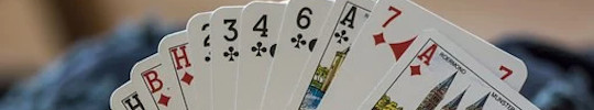 belote saint aygulf, jeu de cartes st aygulf, frejus, sasel