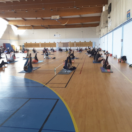 gymnastique, volontaire, st aygulf, frejus