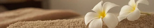 cours de sophrologie saint aygulf, cours de sophrologie frejus, la sasel